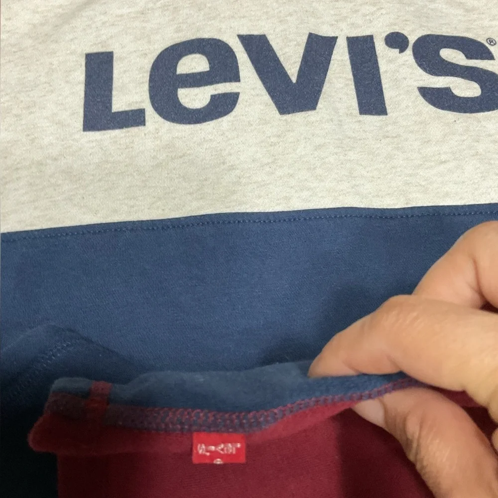 Levi's Men's Red and Blue Hoodie